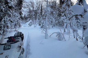 ���� �� �������� �����