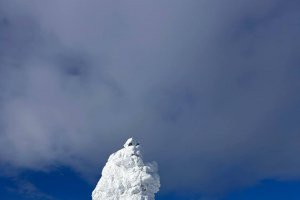 ������ ������������ �����������